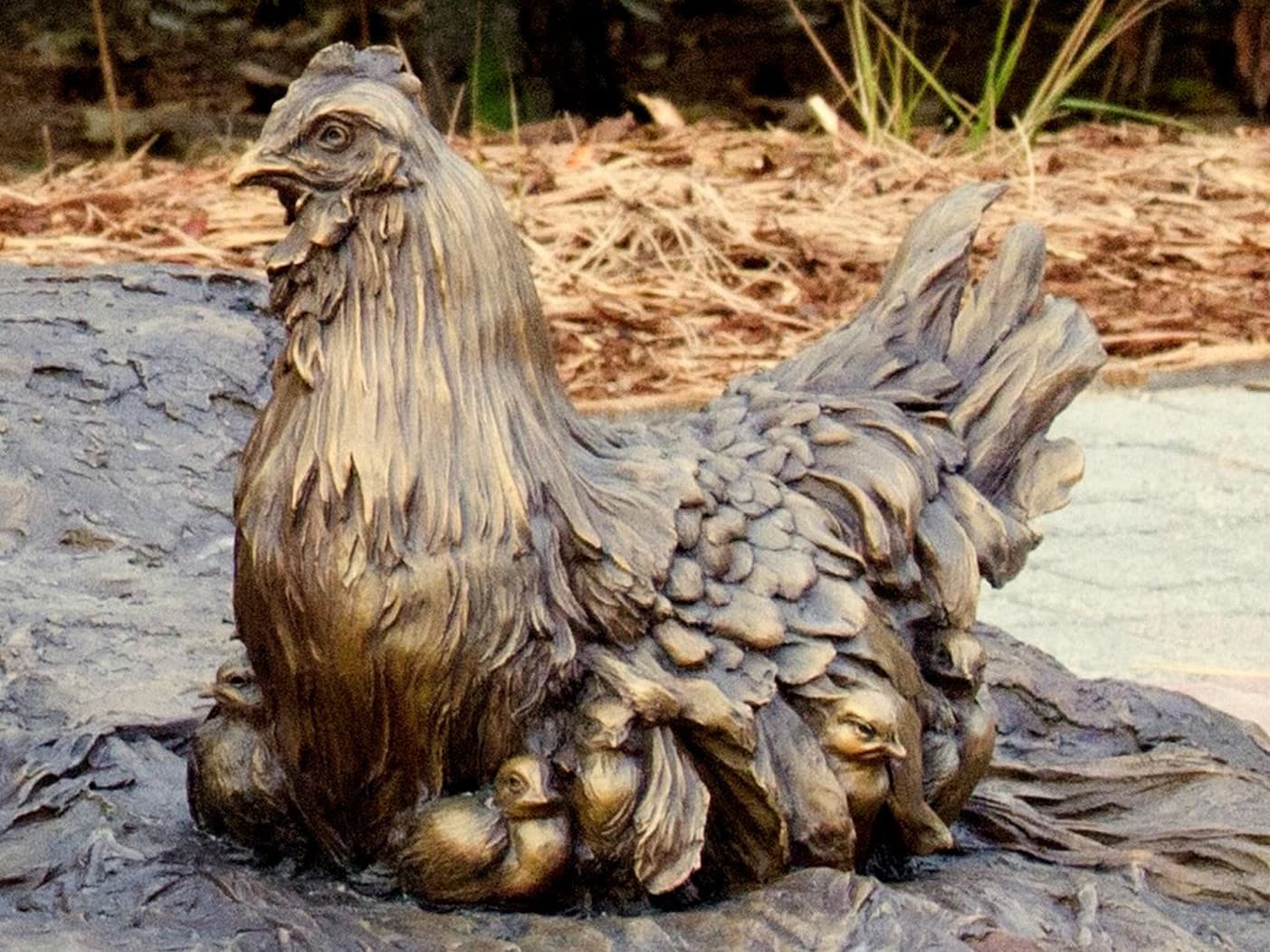 "His Gathering - Hen with Chicks" Bronze Sculpture